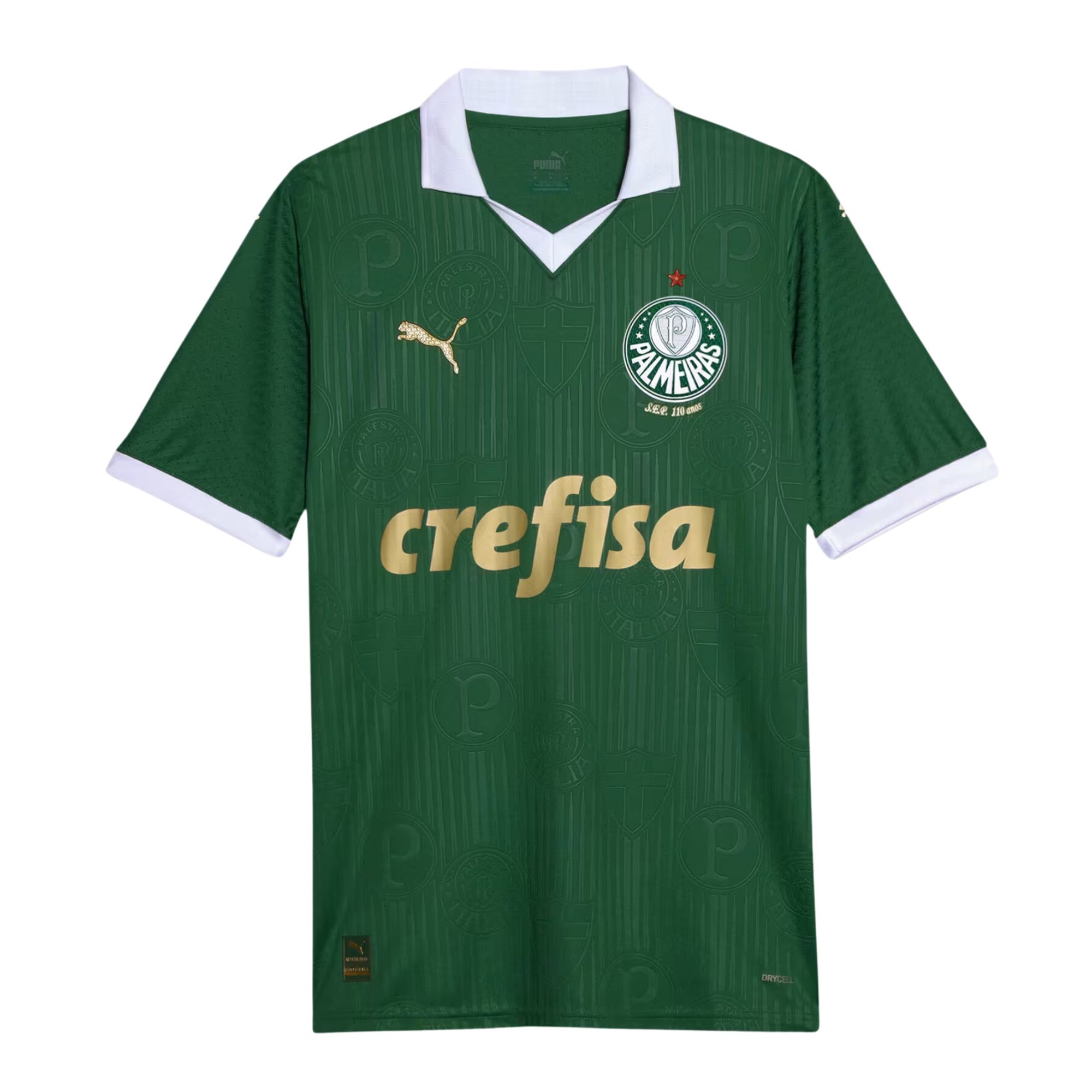 Camisa Palmeiras I 24/25 Puma Jogador Masculina - Verde