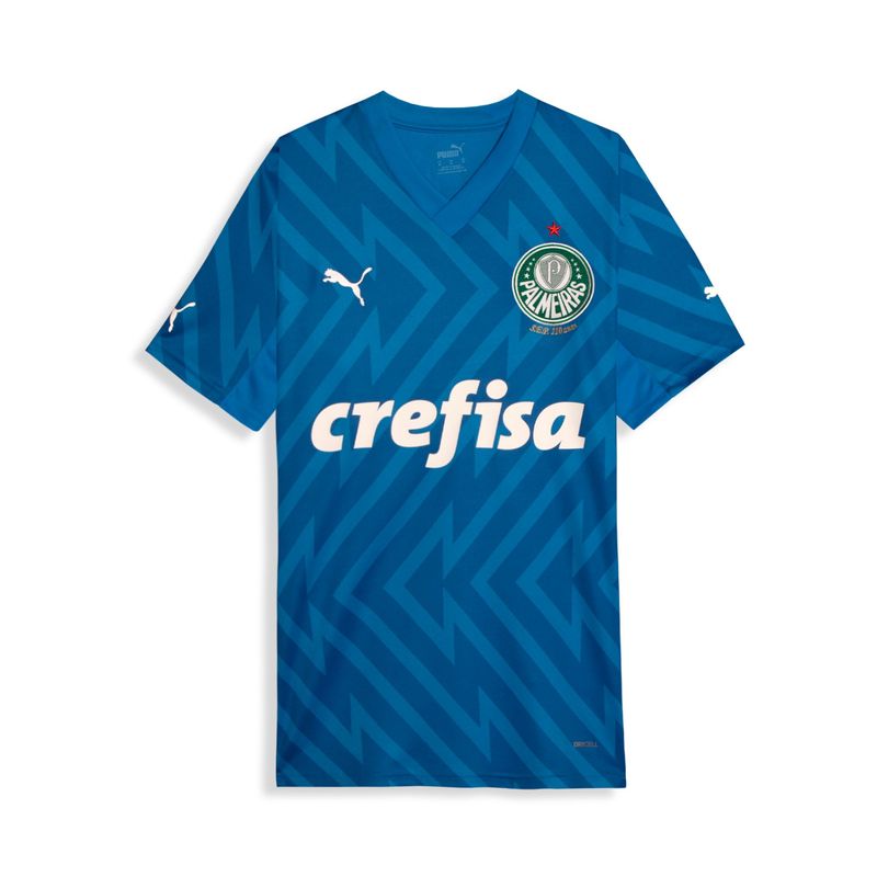 Camisa-Palmeiras-2024-Puma--Goleiro-Torcedor-Home-Masculina---Azul-
