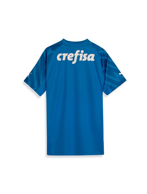 Camisa Palmeiras 2024 Puma Goleiro Torcedor Masculina - Azul