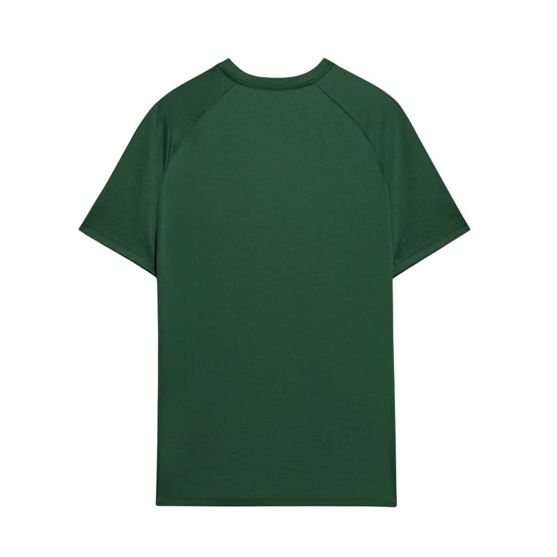 Camisa-Palmeiras-2024-Puma-Pre-Jogo-Masculina---Verde