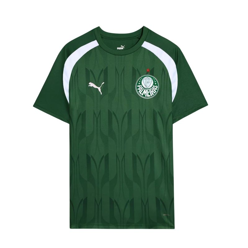 Camisa-Palmeiras-2024-Puma-Pre-Jogo-Masculina---Verde
