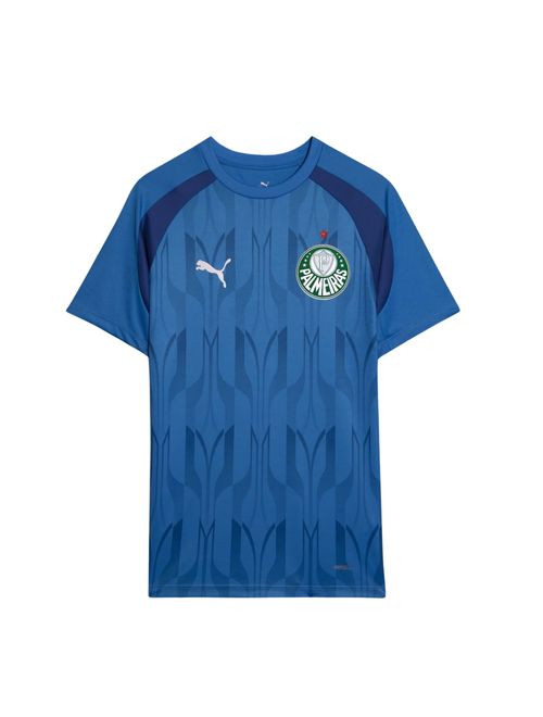 Camisa Palmeiras 2024 Puma Pré Jogo Sep Prematch 24 Masculina - Marinho