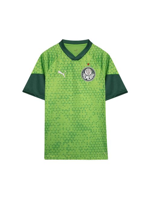 Camisa Palmeiras 2024 Puma Treino E Torcedor Masculina - Verde