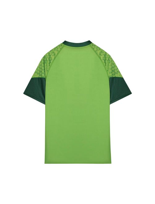 Camisa Palmeiras 2024 Puma Treino E Torcedor Masculina - Verde
