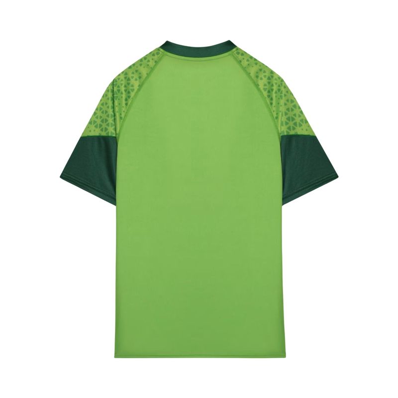 Camisa-Palmeiras-2024-Puma-Treino-E-Torcedor-Masculina---Verde