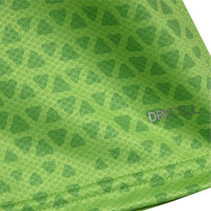 Camisa-Palmeiras-2024-Puma-Treino-E-Torcedor-Masculina---Verde
