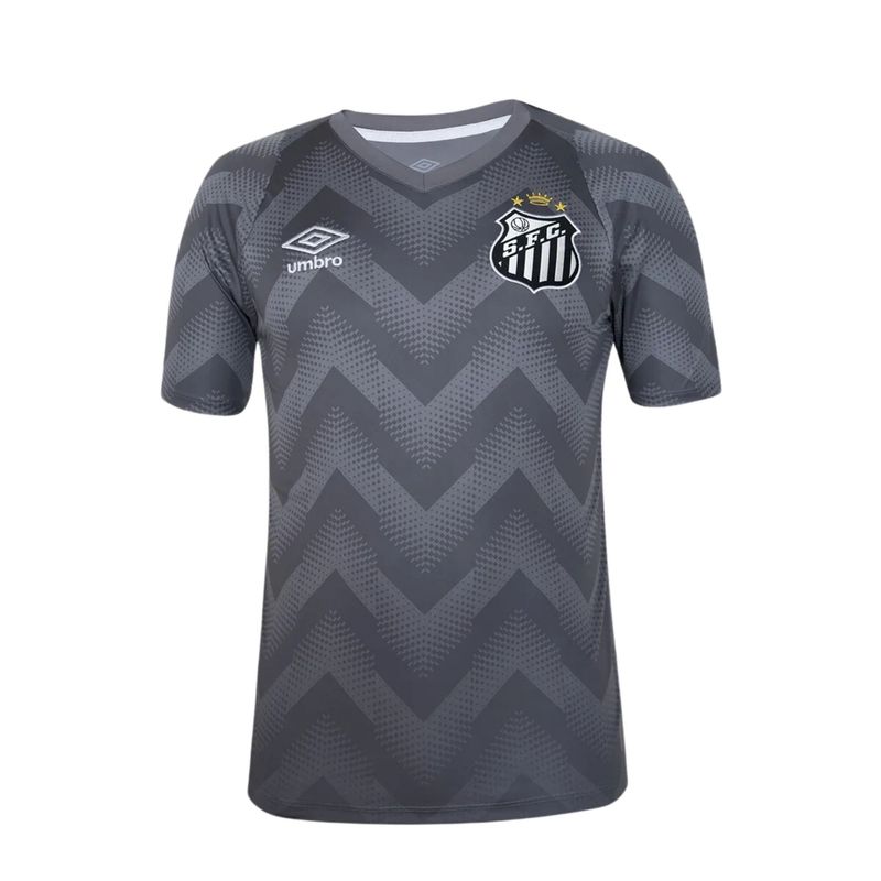Camisa Santos 2024 Umbro Goleiro Masculina - Cinza