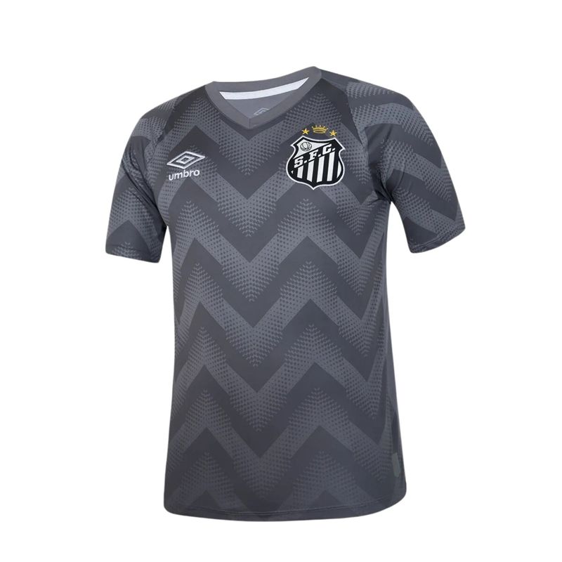 Camisa Santos 2024 Umbro Goleiro Masculina - Cinza