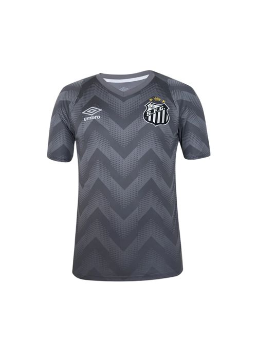 Camisa Santos 2024 Umbro Goleiro Masculina - Cinza