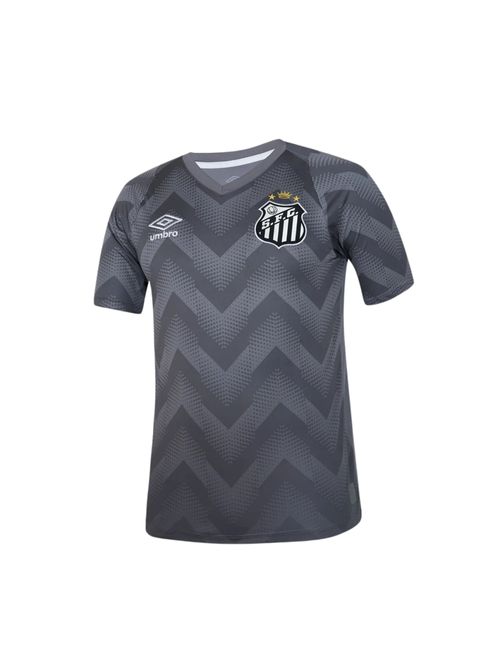 Camisa Santos 2024 Umbro Goleiro Masculina - Cinza