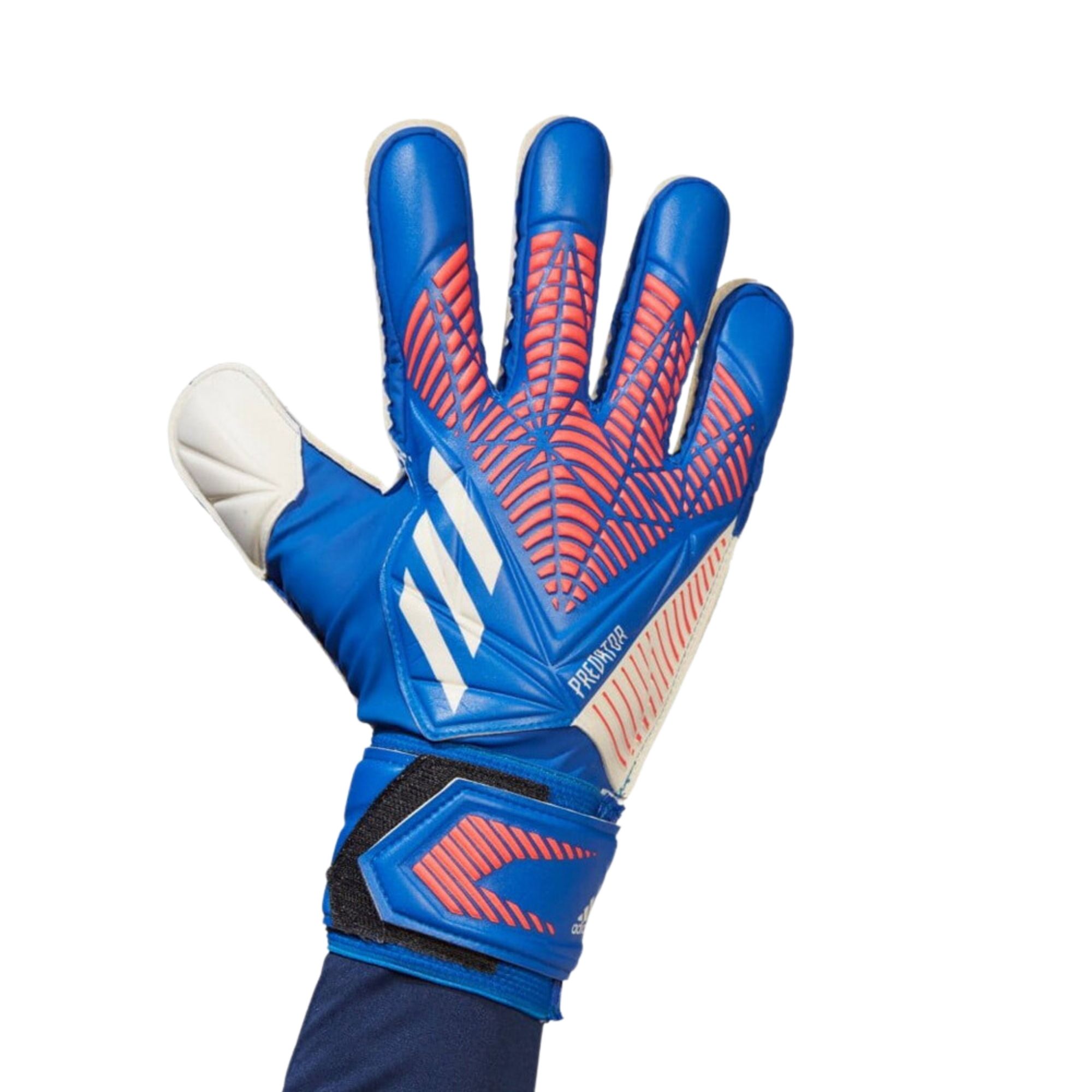 Luva Goleiro  Adidas Predator Match Masculina - Royal/Branco