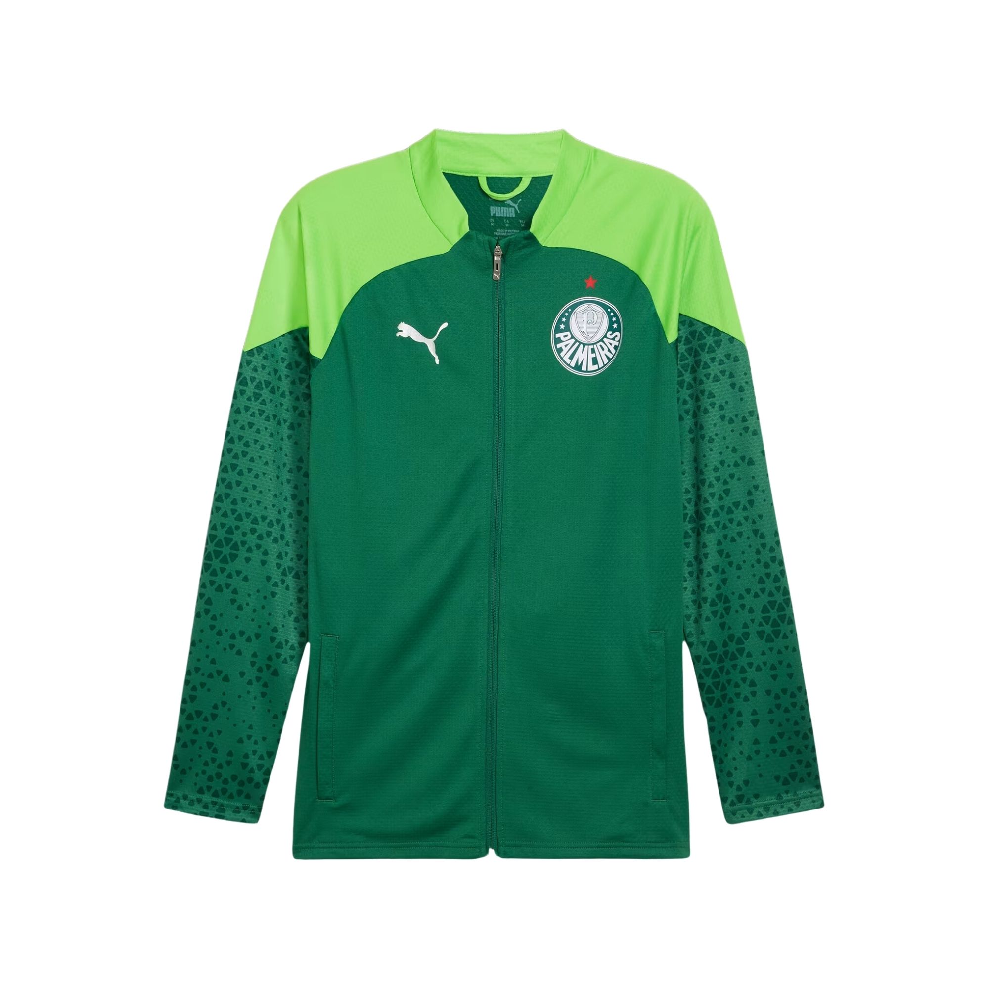 Jaqueta Palmeiras 2024 Puma Treino Masculina - Verde