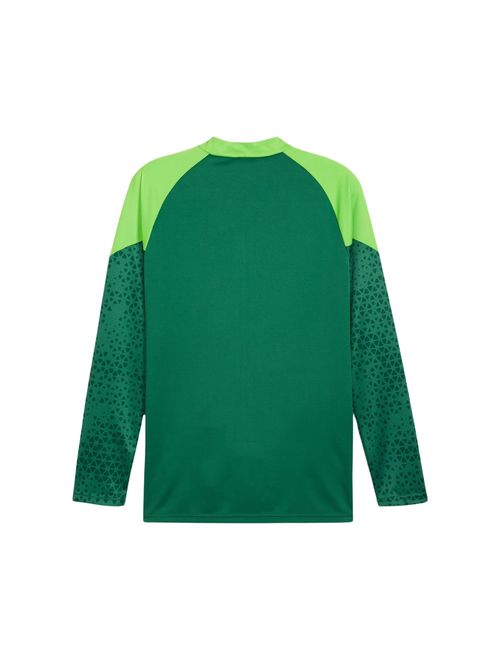 Jaqueta Palmeiras 2024 Puma Treino Masculina - Verde