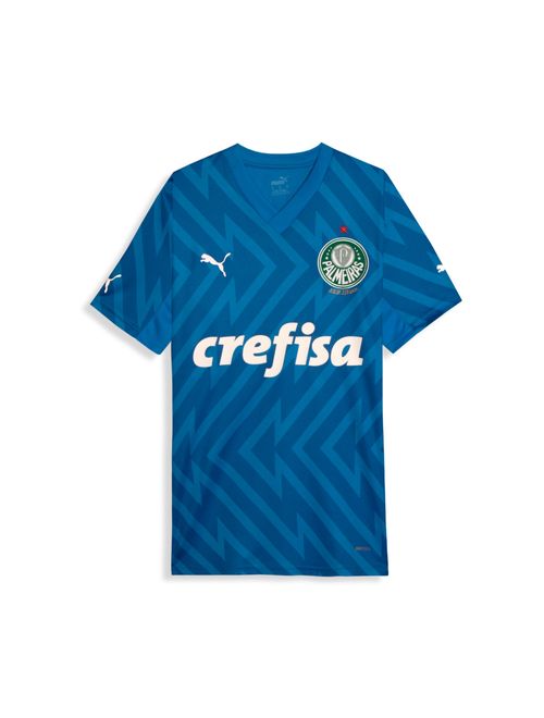 Camisa Palmeiras 2024 Puma Goleiro Torcedor Masculina - Azul