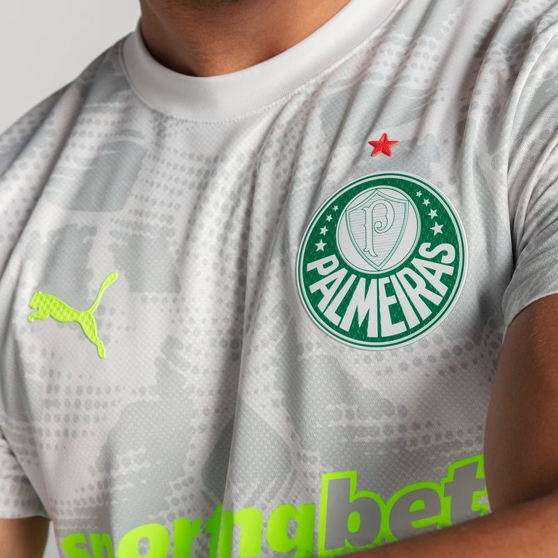 camisa-palmeiras-iii-25-26-puma-goleiro-third-masculina-cinza