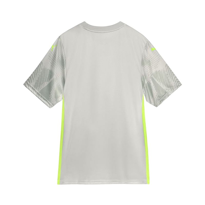 camisa-palmeiras-iii-25-26-puma-goleiro-third-masculina-cinza