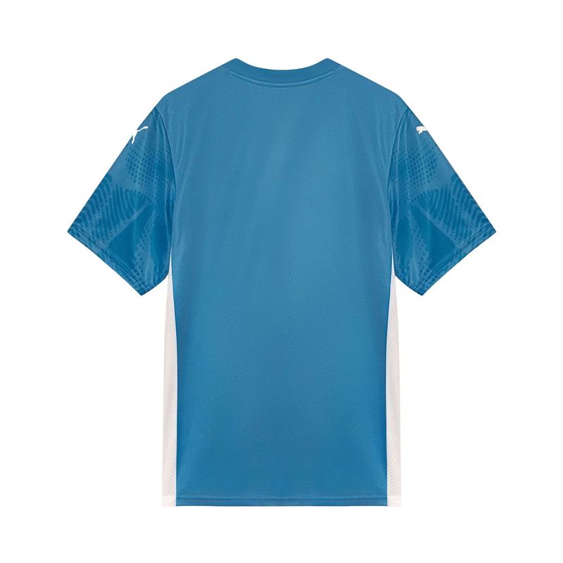 camisa-palmeiras-i-25-26-puma-goleiro-home-masculina-azul