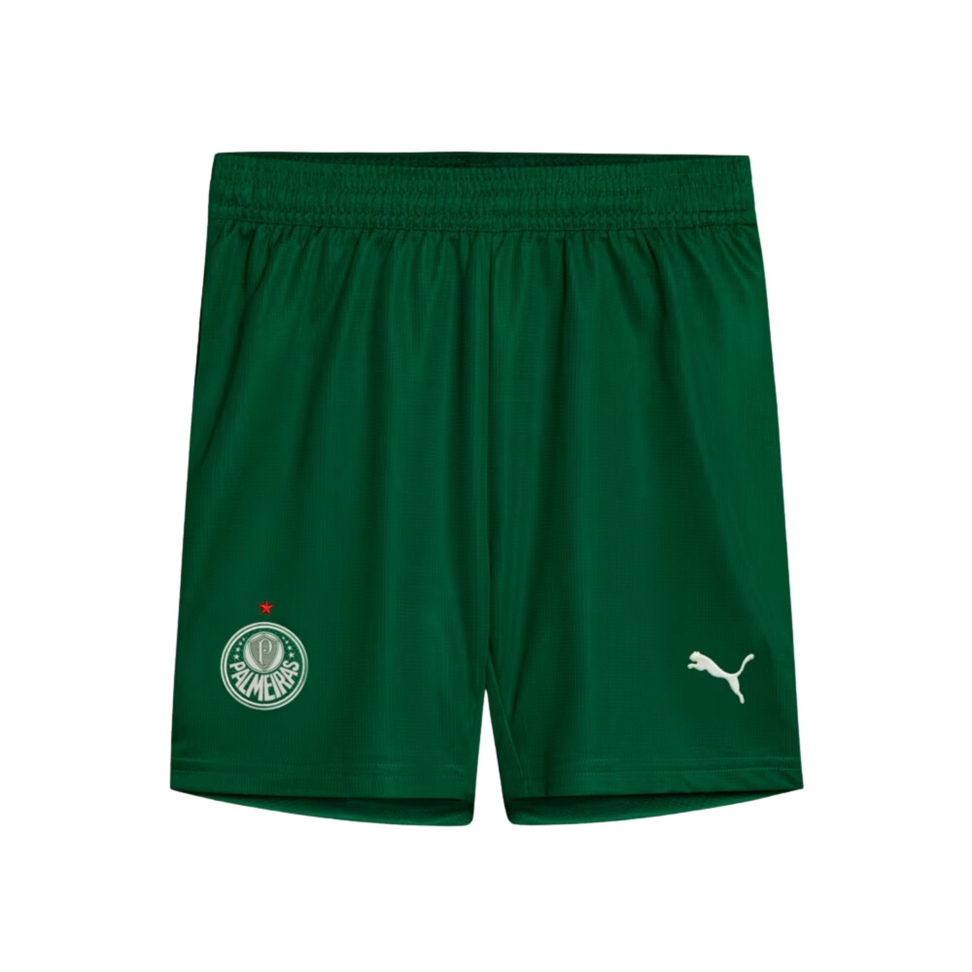 Calção Palmeiras II 25/26 Puma Torcedor Infantil - Verde