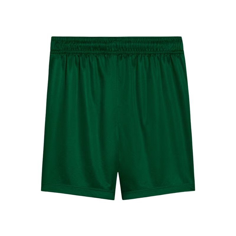 calcao-palmeiras-ii-25-26-puma-torcedor-infantil-verde