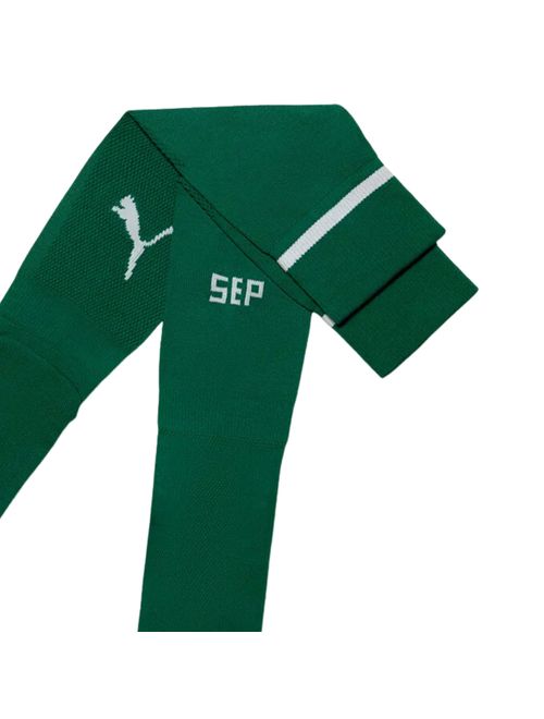 Meião Palmeiras I 25/26 Puma Masculino - Verde