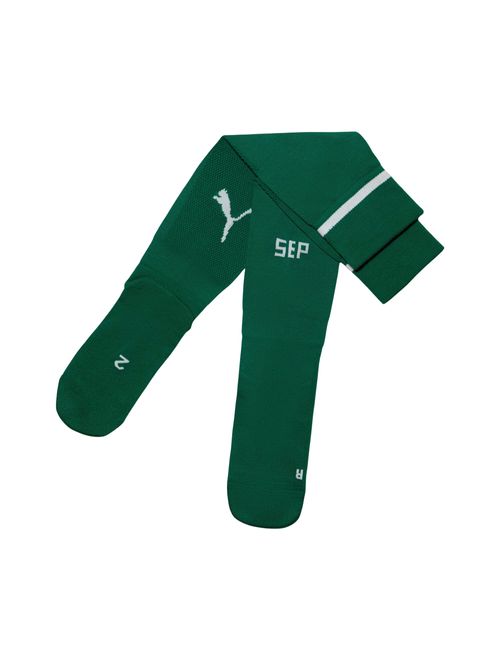 Meião Palmeiras I 25/26 Puma Infantil - Verde