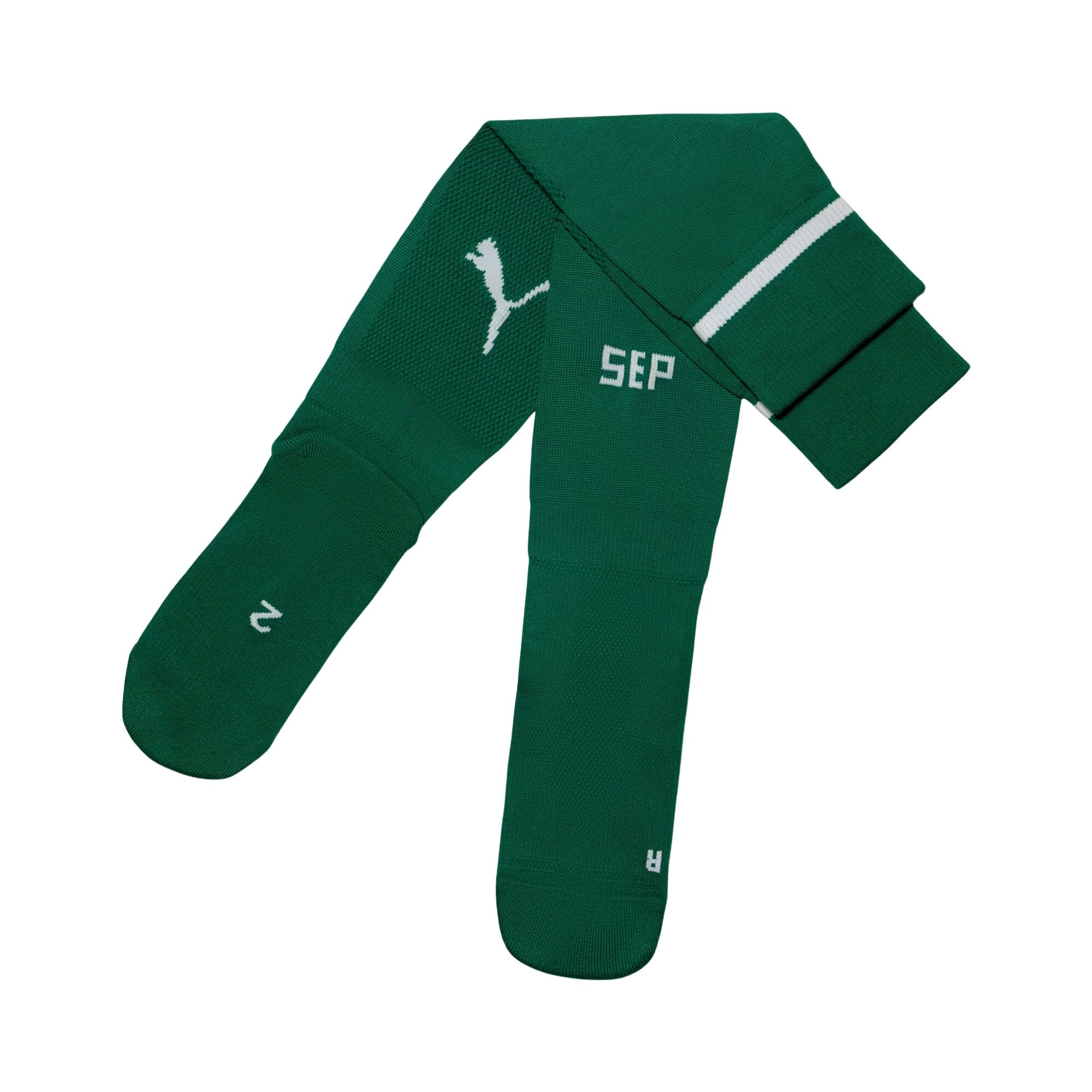 Meião Palmeiras I 25/26 Puma Infantil - Verde
