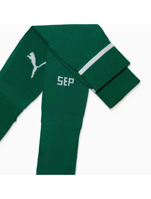 Meião Palmeiras I 25/26 Puma Infantil - Verde