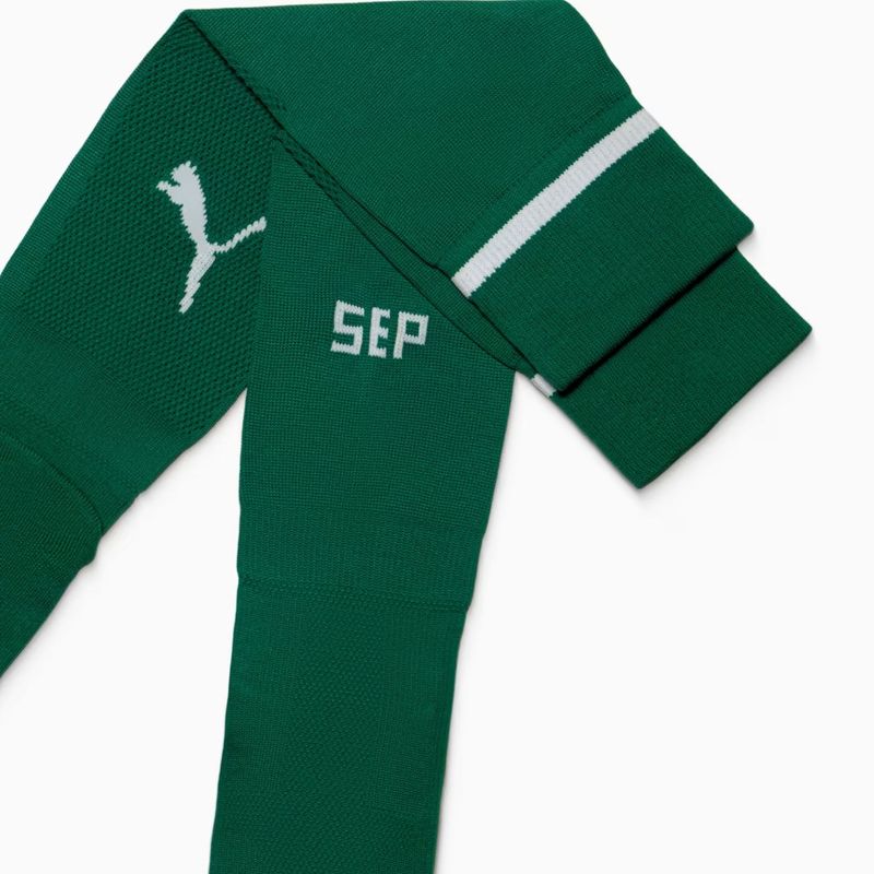 meiao-palmeiras-i-25-26-puma-home-infantil-verde