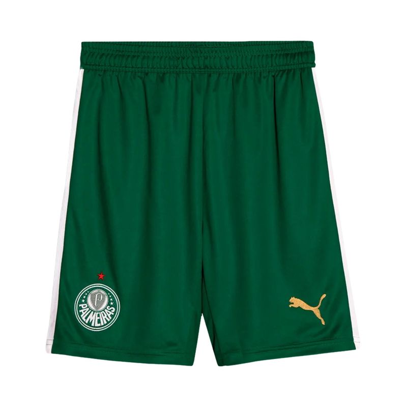 calcao-palmeiras-ii-24-25-puma-torcedor-masculino-verde