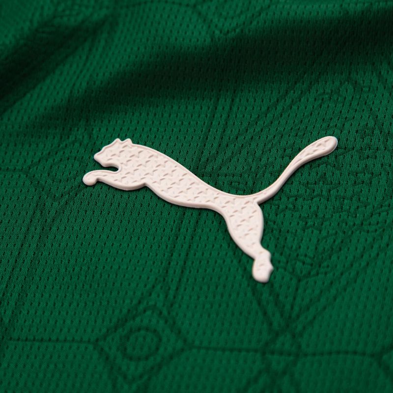 camisa-palmeiras-i-25-26-puma-jogador-masculina-verde