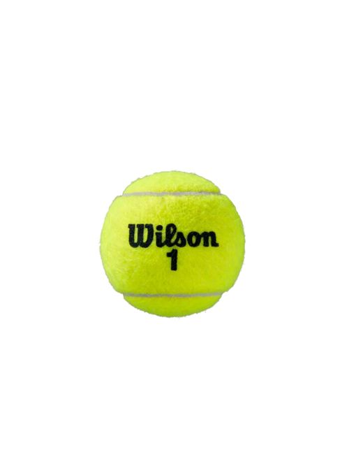 Bola de Tênis Wilson Roland Garros All Court Unissex - Amarela
