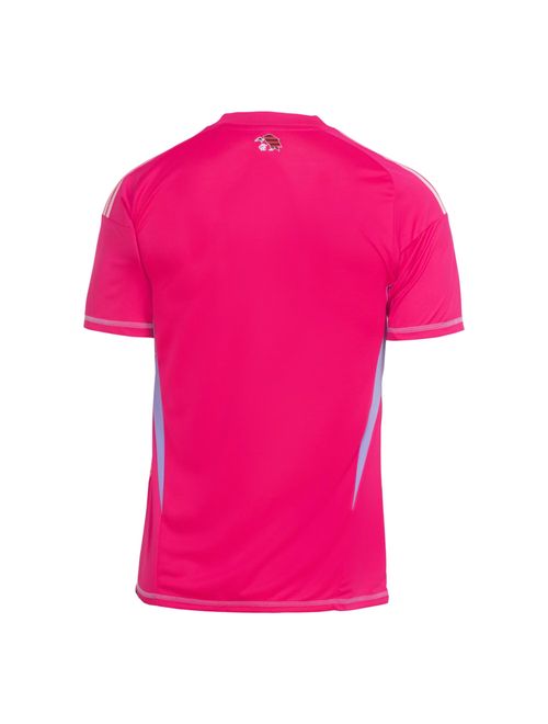 Camisa Flamengo II 25/26 Adidas Goleiro Masculina - Rosa