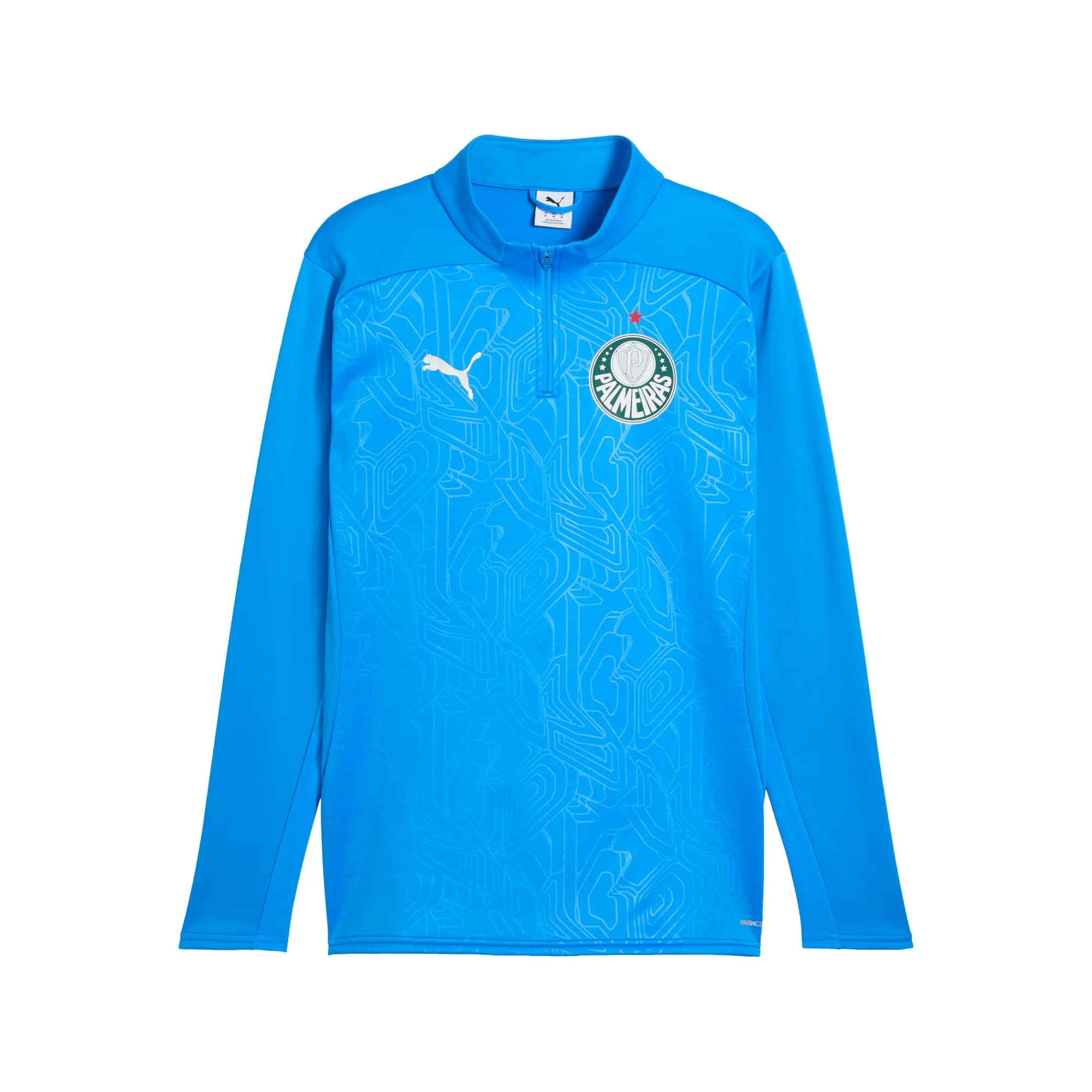 Blusão Palmeiras 25/26 Puma Treino Masculino - Azul