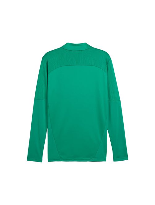 Blusão Palmeiras 25/26 Puma Treino Masculino - Verde