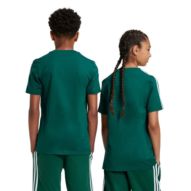 camiseta-adidas-tiberio-tres-listras-colorblock-infantil-verde