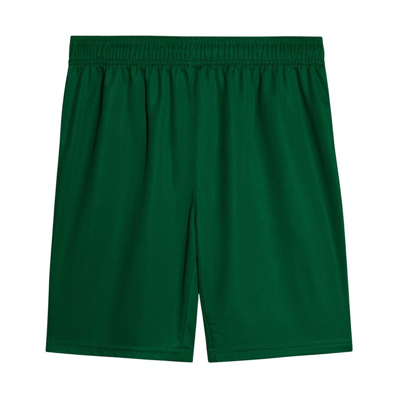 calcao-palmeiras-ii-25-26-puma-torcedor-masculino-verde