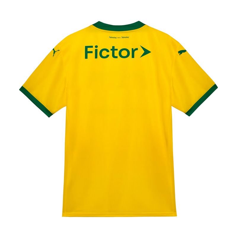 camisa-palmeiras-iii-25-26-puma-torcedor-masculina-amarela-verde