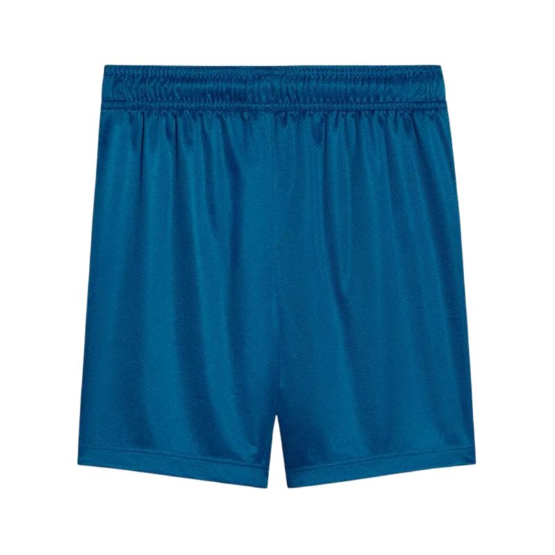 calção-palmeiras-iii-25-26-puma-torcedor-masculino-azul