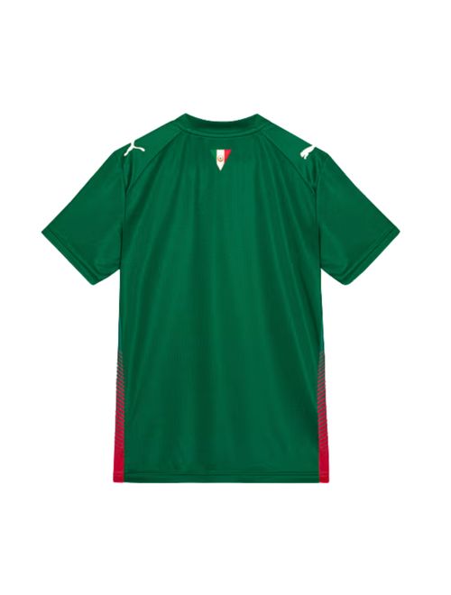 Camisa Palmeiras I 26/27 Puma Torcedor Infantil - Verde