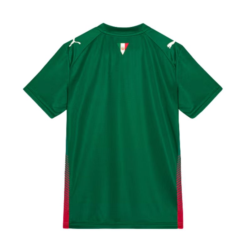camisa-palmeiras-i-26-27-puma-torcedor-infantil-verde