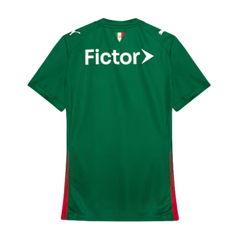 camisa-palmeiras-i-26-27-puma-tocedora-feminina-verde