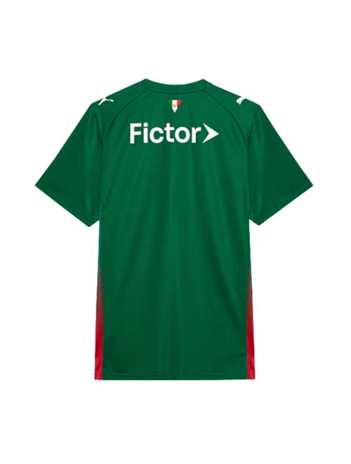 Camisa Palmeiras I 26/27 Puma Tocedor Masculina - Verde