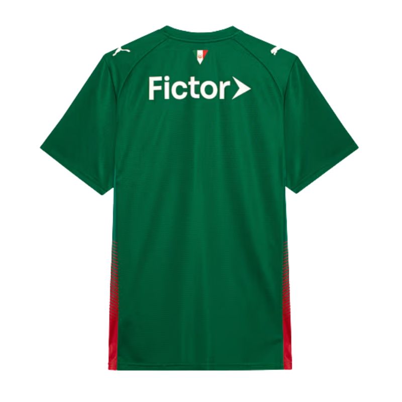 camisa-palmeiras-i-26-27-puma-tocedor-masculina-verde