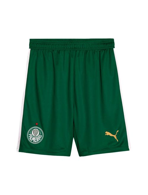 Calção Palmeiras II 24/25 Puma Torcedor Masculino - Verde