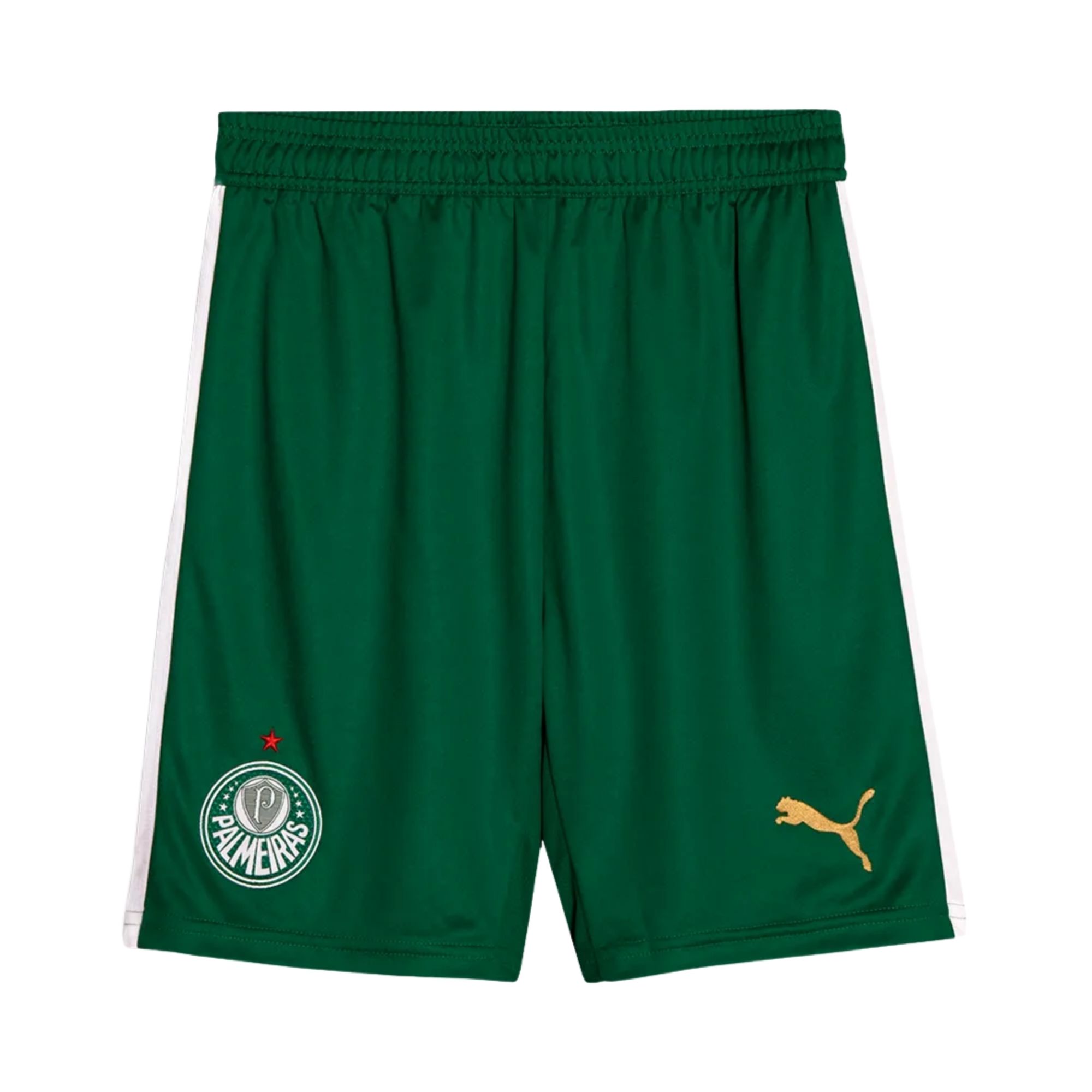 Calção Palmeiras II 24/25 Puma Torcedor Masculino - Verde