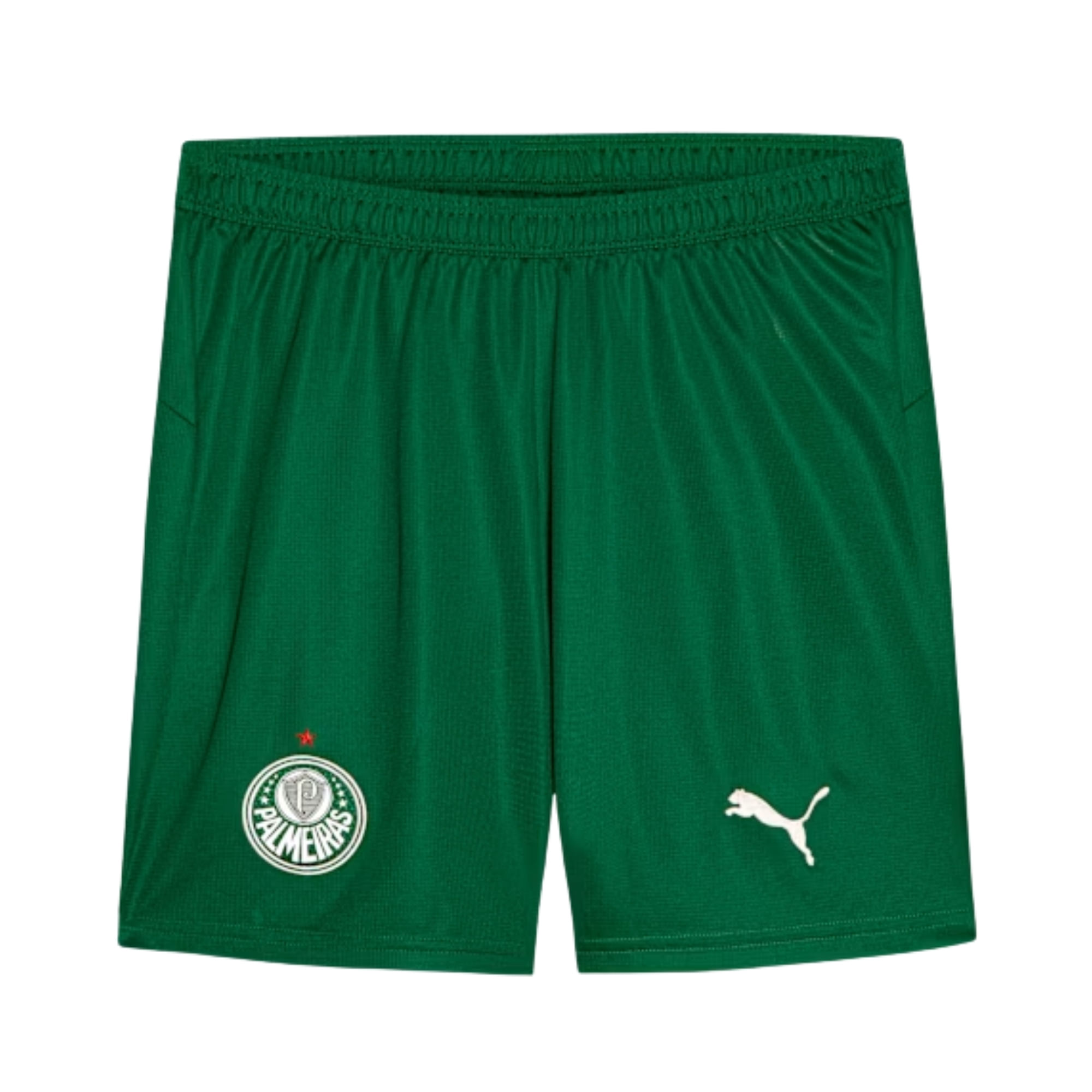 Calção Palmeiras II 26/27 Puma Torcedor Masculino - Verde