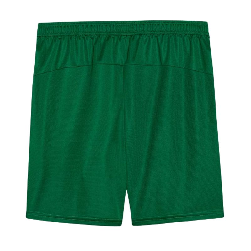 calção-palmeiras-ii-26/27-puma-torcedor-masculino-verde
