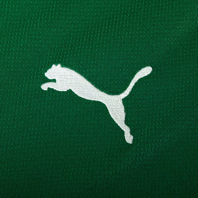 calção-palmeiras-ii-26/27-puma-torcedor-masculino-verde