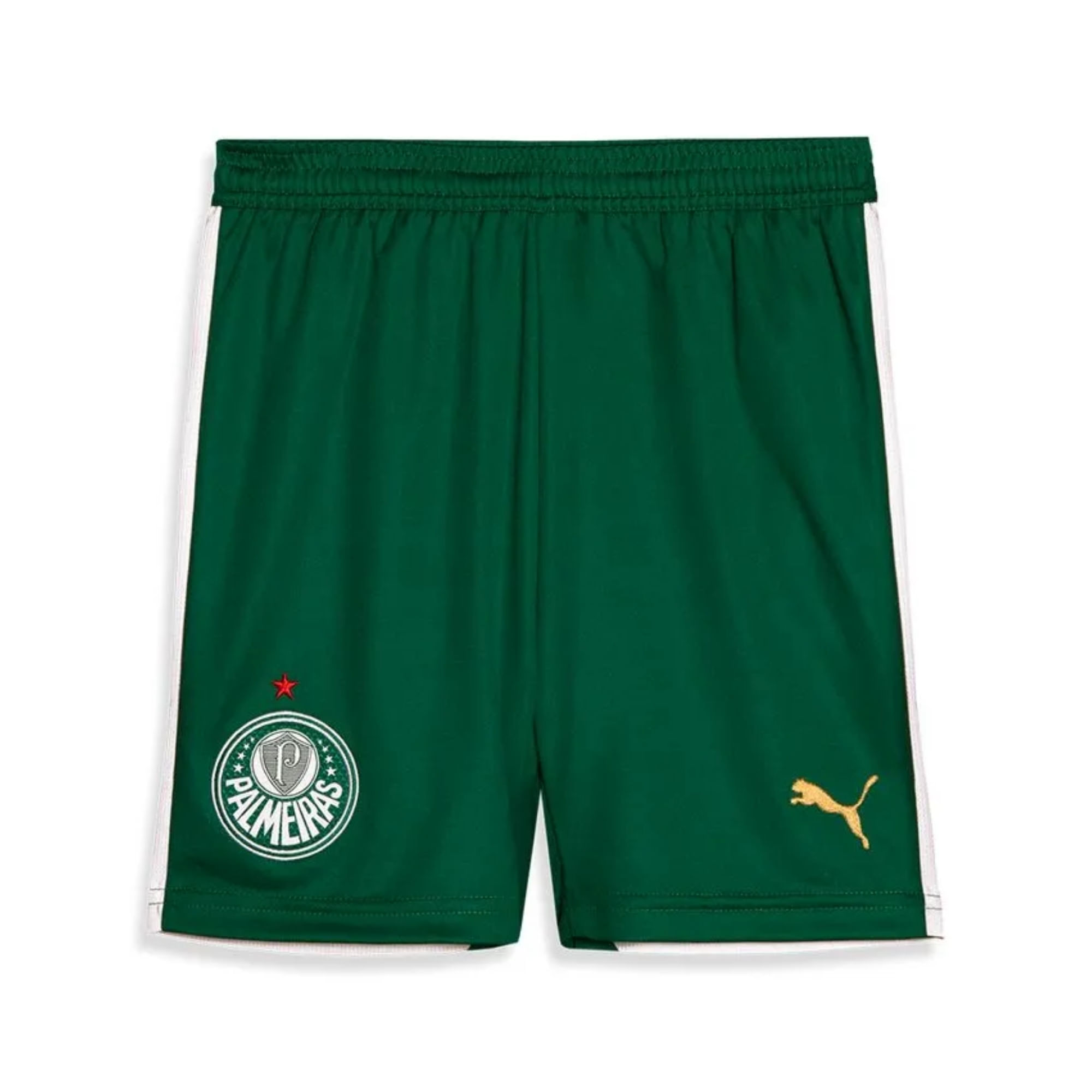 Calção Palmeiras II 24/25 Puma Infantil - Verde