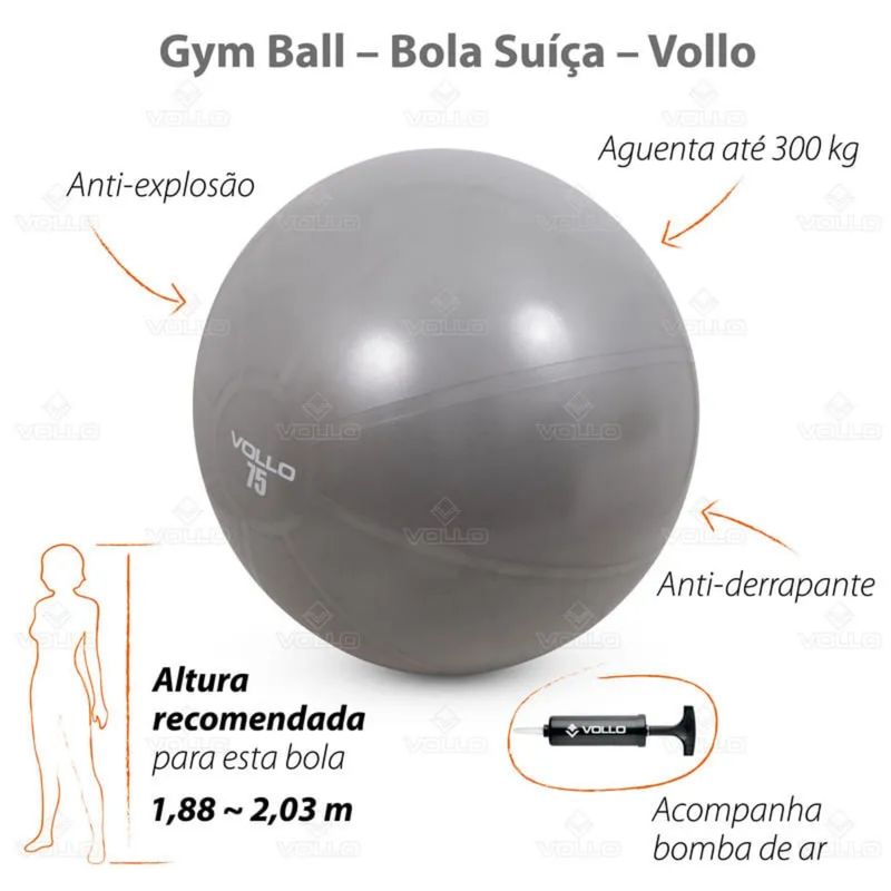 bola-vollo-gym-75cm-res-300kg-c-bomba-unissex--cinza